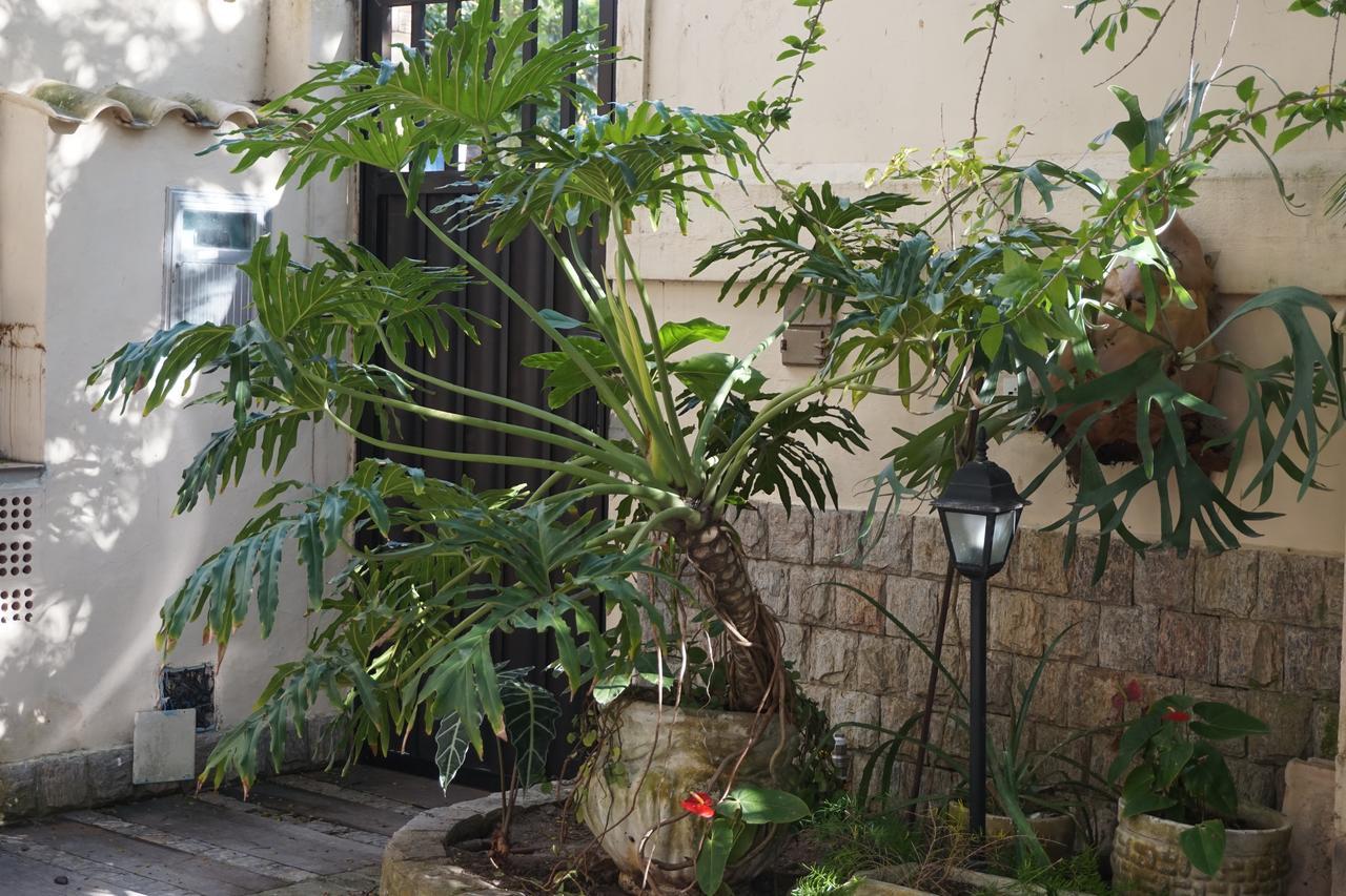 Pouso Da Garca Bed and Breakfast Cabo Frio Exteriör bild